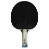  Butterfly Timo Boll Platinum Wakaba професионална хилка за тенис на маса 