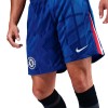        Nike Chelsea мъжки футболни шорти Челси  2025 2026 домакински