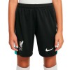      Nike Liverpool детски футболни шорти Ливърпул  2024 2025 резервни гостуващи