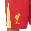      Nike Liverpool детски футболни шорти Ливърпул  2024 2025 домакински