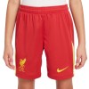      Nike Liverpool детски футболни шорти Ливърпул  2024 2025 домакински