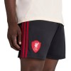      Adidas Liverpool мъжки футболни шорти Ливърпул  2025 2026 резервни гостуващи
