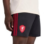     Adidas Liverpool мъжки футболни шорти Ливърпул  2025 2026 резервни гостуващи