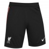    Nike Liverpool мъжки футболни шорти Ливърпул 2021 2022 резервни гостуващи