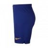    Nike Barcelona детски футболни шорти Барселона 2025 2026 трети Найк 