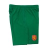 Joma Bulgaria мъжки футболни гащета България 2018 шорти на Българския национален отбор по футбол официални домакински