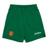 Joma Bulgaria мъжки футболни гащета България 2018 шорти на Българския национален отбор по футбол официални домакински
