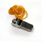  свирка съдийска