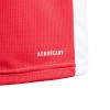  adidas Ajax мъжка футболна тениска Аякс Амстердам 2020 2021 домакинска Authentic 
