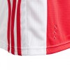 adidas Ajax мъжка футболна тениска Аякс Амстердам 2020 2021 домакинска Authentic adidas Ajax мъжка футболна тениска Аякс Амстердам 2020 2021 домакинска Authentic