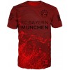  Мъжка тениска Bayern Munchen