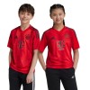    Adidas Bayern Munich детска футболна тениска   2024 2025 домакинска