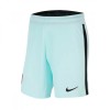  Nike Portugal мъжки футболни шорти Португалия 2020 резервни гостуващи