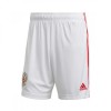 adidas Russia мъжки футболни шорти Русия 2020 2021