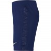 Nike Tottenham Hotspur детски футболни шорти Тотнъм Хотспър  2021 2022 домакински гащета