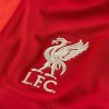    Nike Liverpool мъжки футболни шорти Ливърпул  2023 2024 домакински